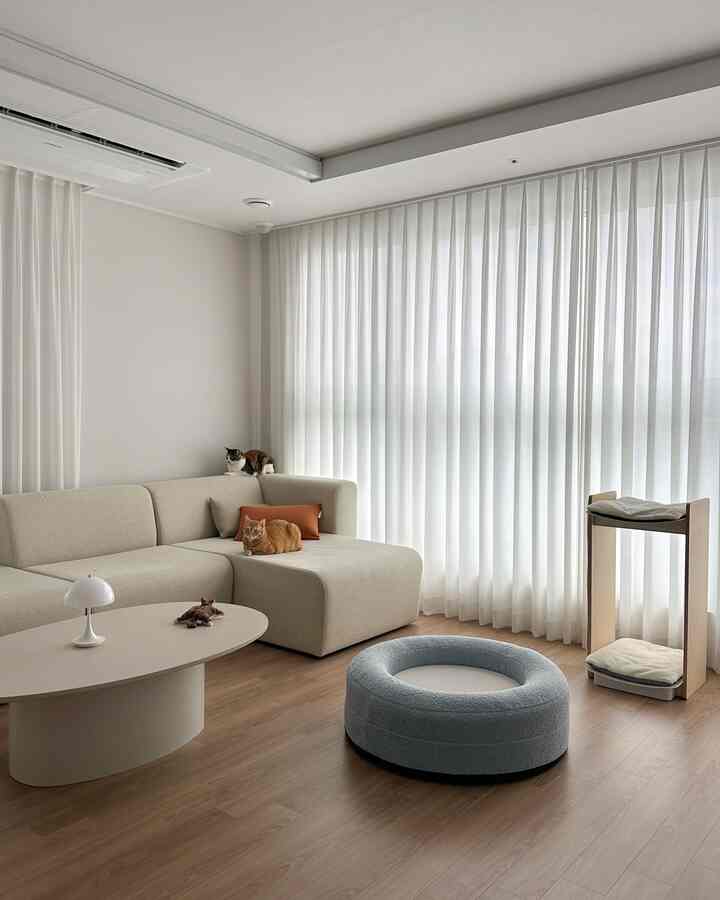＃執事のショッピングカート＃home＃ミニマルインテリア＃ホワイトインテリア＃ソファテーブル＃コモンテーブル＃コージーテーブル＃ペット

初めて引っ越してきた時は、リビングにできるだけニャンがグッズが出てくるのが嫌でキャットタワーも部屋に設置したが、いつのまにかニャンがグッズでいっぱいになったリビングルーム。
ホワイトとベージュでいっぱいで、今回は執事が好きなソラクルクッションに入りましたが、ランエロエが最近一番好きな愛着クッションになってしまいました🩵