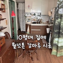 진한 월넛컬러 마루가 예쁜 우리집🤎
로망이었던 월넛컬러 마루 시공 후기!
부모님이 좁아보인다고 극구 말렸지만 좁은 집은 뭘 해도 좁으니 그냥 하고 싶은 색으로 선택했어요(어차피 내 돈이니깐!!😭😇)
원래는 고급스러운 원목마루를 하고 싶었지만 다들 아시다시피 원목마루는 비싸죠..?
게다가 관리도 어렵다고 하길래 다른 선택지에 눈을 돌렸습니다.
구조를 자주 바꿀 것 같아서 장판은 제외, 층간 소음과 습기, 열전도율이 약해 난방 효율이 좋지 않은 강화마루도 제외하고 나니 강마루라는 선택지가 남았습니다. 
원목마루와 동일하게 접착식 밀착 시공이라 들뜸 현상이 적으면서도 관리는 더 편하다는 장점이 있어요.
강마루 중에서도 비싼 건 못하고 비교적 스크래치에 강하다는 동화자연마루 나투스듀어 텍스쳐로 시공했어요🥹
약 2년 실사용 해보니 제가 할 수 있는 예산안에서 최선의 선택이었던 것 같아서 만족이에요. 원래 슬리퍼를 사용하지 않고 바닥을 잘 밟고 다녀서 딱딱하다는 촉감도 크게 거슬리지 않고, 뭐 떨어뜨리면 바로 찍히긴 한데 그건 어차피 원목마루도 마찬가지였을 것 같구요...살짝 패인 흔적은 다이소에서 파는 우드필러 진한색으로 보수공사 해주고있는데 크게 티안나요!
무엇보다 진한 월넛컬러의 마루로 제가 원하던 클래식하고 앤틱한 분위기를 낼 수 있어서 너무좋아요🤎
#마루시공후기 #강마루 #강마루시공 #강마루시공후기 #원목인테리어 #우드인테리어 #월넛인테리어 #앤틱인테리어 #클래식인테리어 #지브리인테리어 #빈티지인테리어 #거실인테리어 #투룸인테리어 #주방인테리어 #침실인테리어 #원목선반장 #원목테이블 #우드테이블 #커튼인테리어 #빈티지서랍장 #미드센츄리모던 #플랜테리어
