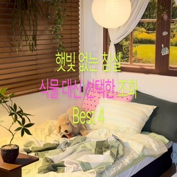 햇빛 없는 침실 식물 대신 선택한 조화 Best 4 🌿 𓂃𓈒𓏸 ☀︎
햇빛 안 드는 자취방에 사는 사람, 
식물살인마들 모두 모여라 ••
제 침실는 햇빛이 진-짜 안 드는데요
침실에서 식물을 키웠더니 자꾸만 죽어버려서 ..
침실엔 조화만 두기로 결정...ᐟ 
100% 내돈내산 !! 💸
진짜 식물같은 예쁜 조화들만 소개합니다 .. 🤍🌿
침실 분위기 뭔가 부족하다면
조화를 툭 놓아보셔요 •• 🪟🪴
#콘수프기록 #맞팔 #자취 #자취방 #자취꿀템 #자취방인테리어 #자취방꾸미기 #자취생 #자취인테리어 #자취필수템 #구축인테리어 #구축빌라 #투룸 #투룸인테리어 #투룸꾸미기 #투룸침실 #투룸빌라 #투룸자취방 #맞팔환영 #8평 #8평인테리어 #콘수프기록집 #예쁜템최고야 