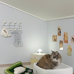다락방 한쪽 공간을 고양이방으로 꾸며봤어요🐱
캣타워 대신 아늑한 침대를 배치하고,
수납장/벽걸이까지 더해 고양이전용 공간으로 완성
미미자매도 마음에 드는지 한참을
구경하더라구요🥹
📌 사용한 제품
홈인버터 - 미니서랍 M사이즈 화이트/옐로우
홈인버터 - 미니행거 8구 화이트
모우스튜디오 - 시어서커냥범퍼박스
다이소 - 구름무드등
#모우스튜디오 #고양이방 #다락방 #고양이방꾸미기 #다락방인테리어 #다락방꾸미기 #고양이가있는집 #고양이인테리어 #코타츠 #좌식의자 #엽서 #무드등 #수납장 #벽걸이 #코트랙 #러그 #집사의장바구니