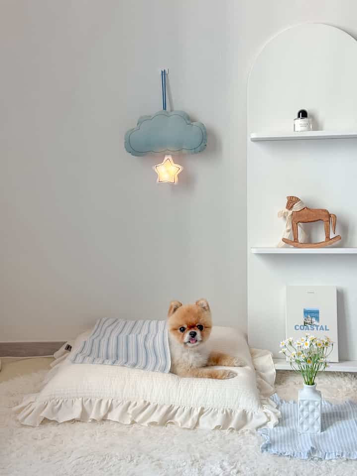 白とベージュのトーンの空間、犬がペットベッドでくつろぎ、木製のおもちゃと本棚が配置された雰囲気のあるインテリア