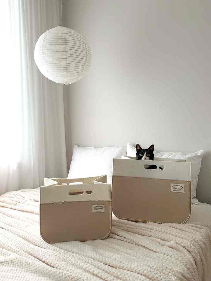 ＃賢明な消費＃コンスープ記録集 
猫収納にぴったり！良いフェルト収納箱🧺
猫の息吹で書くのがいいです。
いろいろなアイテムを入れることができて好きです！

📍フェルト収納ボックスの活用方法
✔️猫収納🐈‍⬛
✔️タオル 
✔️お菓子
✔️服
✔️ソックス
✔️毛布
✔️おもちゃ
✔️カップラーメン

活用度が多いです。
色感も乗り越えて美しい
インテリアを傷つけませんでした。

使わないときは折りたたむことができるから
プラスチック収納箱のようにスペースを取らずにいいです。
収納箱兼猫の息吹でよく使っています🐈‍⬛🧺

＃ファミリー＃コミュニケーション＃収納ボックス＃ファブリック収納ボックス＃ファブリック収納
＃フェルト収納ボックス＃フェルト収納＃フェルトバスケット＃ファブリックバスケット
＃整理整頓＃収納＃整理＃整理テム＃収納テム
#隠れ家 #猫 #ペテリア #猫の家
＃ペットの墓＃タキシード猫＃猫と一緒に暮らす家 
＃ペット動物＃一緒に住んでいる家＃ホワイトウッド
＃ホワイトインテリア＃ホワイトインテリアリング＃ベージュ
#ベージュインテリア
