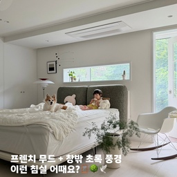 #침실스타일링 창문 너머 보이는 초록 숲 뷰가
가장 큰 매력인 우리집 침실 🪟🛌🌳
이 공간에 딱 어울리는 new 침대가 왔어요 -
침대 맛집 드모르의 신제품 포브침대 🛏️
포근한 볼륨감이 느껴지는 곡선형 헤드쿠션과
낮고 안정적인 프레임 라인 덕분에
침실 분위기가 한층 더 포근해졌답니다.
절제된 실루엣이 정말 매력적이에요 -
프레임 바뀌고 제일 좋아하는 건 저희 집 귀염댕이들 ! 
맨날 둘이 침대에서 사부작사부작 거려요 . . 🦊👧🏻
특히 낮잠 자고 일어나서 먹는 우유는
꼭 엄마 침대 아빠 침대에서 먹는다고 하는 유이😝
무엇보다 가장 마음에 들었던 건 옷을 갈아입듯 
헤드 커버 원단을 교체할 수 있다는 점인데요.
화이트 부클레는 아늑하고 포근한 무드라 예쁘고
올리브 컬러는 초록이 가득한 저희 집 숲 뷰와
자연스럽게 어우러져 정말 예쁘더라고요.. 🌿
커버를 분리해 세탁할 수 있어서 관리도 간편해요.
#침실인테리어 #침대프레임 #라지킹침대 #드모르 #드모르침대 #포브침대 #프렌치인테리어 #프렌치무드 #침실꾸미기 #침대프레임 #부클레 #화이트인테리어 #제작도어 #제작창문 #대형평수인테리어 #안방인테리어 #오늘의집 #오늘의집크리에이터 #스페셜크리에이터 #침대추천 #침실 #침실가구 #루이스폴센 #비트라 #모빌 