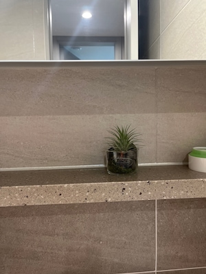 Review 3