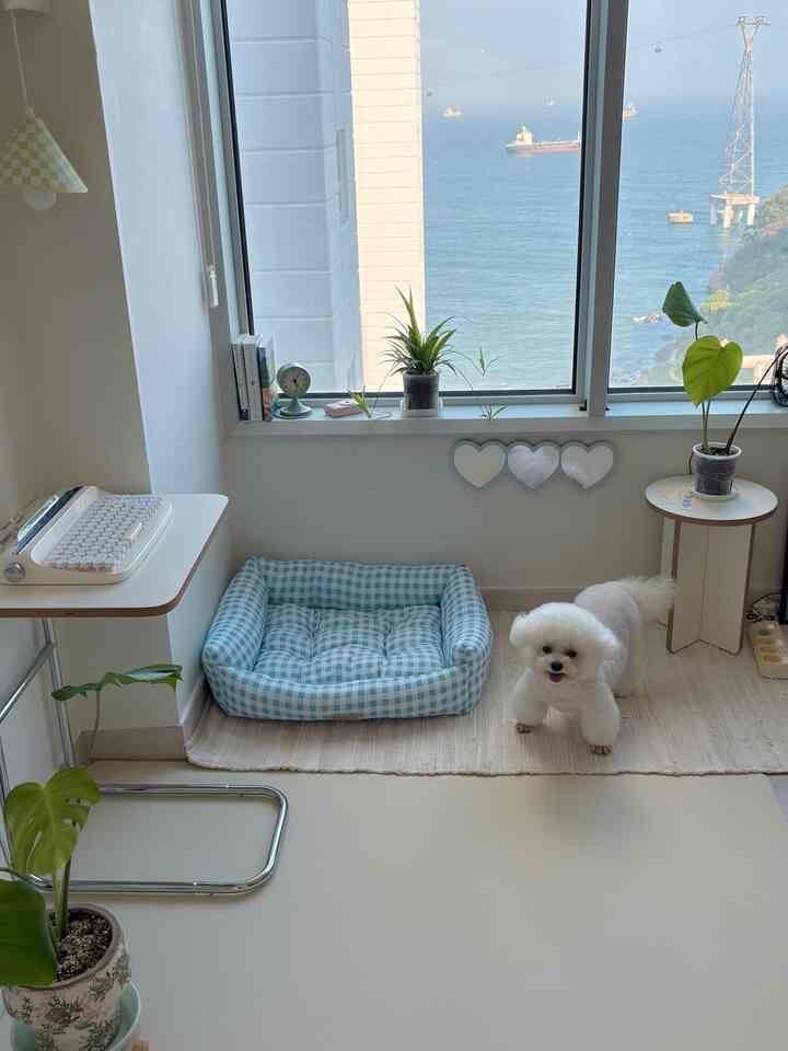  #인테리어소품  #강아지쿠션 #하트거울  #오늘의우리집 