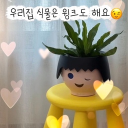 우리집 식물은 윙크도 해요😉
귀엽고 예쁜 건 혼자 보기 아깝기에-
#콘수프기록집 #예쁜템최고야
얼마 전 집들이 선물로 받은 레츄자 × 플레이모빌 OJO 얼굴 저면관수 화분이랍니다 :) 
원래부터 고씨엄마가 갖고싶어 했던 위시템이였기에 선물받고 찐기쁨을 표출했죠🫰🏻
윙크하는 표정은 물론 AI로 만든 거지만 
원래 가지고 있는 본체만으로도 사랑스러움 가득이랍니다.
귀여운 오브제 같지만 실용성까지 갖춘 요녀석☺️💛
이 화분은 저면관수 시스템이라 물받침 없이도 깔끔하게 사용할 수 있답니다! 
실내에서 식물을 키워도 바닥이 젖을 걱정이 적고,
무엇보다 식물이 심어진 포트 그대로 넣어 사용할 수 있어서 번거로움이 덜했다는 점이 큰 장점이었어요.
처음 식물을 키우는 저같은 사람에게도 어렵지 않게 시작할 수 있겠더라구요! 🌱
박고박.zip은 아비스 고사리를 포트째 넣어 키우고 있어요.
아비스는 집 안에서도 부담 없이 키울 수 있고, 복잡한 손질 없이도 조용히 초록빛을 지켜낸다고 하더라구요 :) 
식물 키우기에는 소질 없던 고씨엄마에게도 희망을 갖게 해준 식물! 우리 집에서 무럭무럭 잘 자르기를🌱🌱
———————————————
저희 아들은 날마다 “초록잎아~~ 사랑해~~💚“ 하며 속삭여주곤 해요 :) 
예쁜 화분+초록 식물 
작은 존재만으로도 집 안 분위기가 달라질 수 있다는 걸 새삼 느끼고 있어요! 
요즘 박고박.zip 예쁜템 1순위예요. 🌿 
#오늘의집 #콘수프기록 #레츄자 #플레이모빌 
#OJO화분 #저면관수화분 #집들이선물 #초보식집사 
#아비스고사리 #플랜테리어 #홈스타일링 #인테리어소품 #우리집기록 #오집기록 #기록챌린지 #콘수프챌린지
#세가족 #아이와사는집 #아이가사는집 #아들맘 #육아맘
#아파트인테리어 #입주아파트 #신축아파트 #식물 
#화분 #식집사 #맞팔