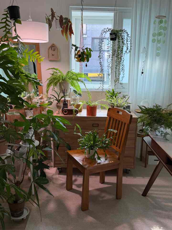 ＃賢明な消費＃コンスープ記録集 

ウォーターシャワーを終えた永遠の緑の友達🌿🫧

朝早くからのどが渇いた植物を水であげて掃除するのは忙しい朝ですよ☀️

今日の主人公
✔️柄アビスシダ
最も賢い消費の一つです👍🏽

ウォーターシャワーを見てみると、
写真を撮ることができませんでした✨
とてもきれいです...💚

パターンを失っても可愛すぎる＃パターンアビス 
イパリの色味とシルバーパール感が狂ってカッコイイ
 #スキン返信ストルービーまで、

実は今日の水シャワーの友達
全部撮りたいけど今日はここまでしか撮ってみません😁
腕払い式執事の緑愛！

今日も緑の良い一日を過ごしてください🫧
。
。
。
＃植物＃植民地時代＃プランテーション 