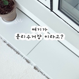 여기가 분리수거장이라고? 🫢 
우리 집 베란다의 비밀 🤍
차가운 타일 바닥에 매트와 포근한 러그를 깔아주니
강아지들과 쉴 수 있는 공간으로 만들었어요! 
그리고 창가에 둔 이 예쁜 벤치 수납장의 정체는..
바로 '히든 분리수거장'이랍니다 (˵ •̀ ᴗ - ˵ ) ✧
뚜껑을 열면 쓰레기들이 쏙! 닫으면 감쪽같이 감성 벤치로 변신해요.
제가 이 벤치를 꼭 창가에 둔 이유가 있는데요 🤫
아파트 틈 사이로 보이는 하천 뷰가 예술이거든요!
봄에는 흐드러지는 벚꽃길을, 아침에는 붉은 일출을 직관할 수 있는 저희 부부만의 뷰 맛집이랍니다 🌸☀️
보기 싫은 쓰레기는 완벽하게 숨기고,
우리 코코랑 메리랑 나란히 앉아 물멍하기 좋은 
힐링 공간 🐶🌿
실용성과 감성 모두 잡은 숨김 수납 완전 추천해요 👍
#판댕홈 #26평인테리어 #구축아파트인테리어 #신혼부부 #신혼집
#현명한소비 #콘스프기록집 #베란다인테리어 #베란다꾸미기 #베란다정원 #분리수거함 #분리수거통 #분리수거함추천 #분리수거장 