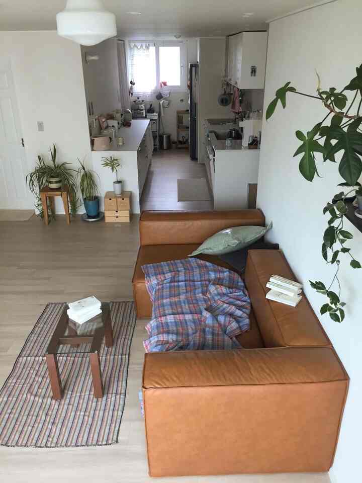 ホワイトとブラウンのナチュラルトーンの二人暮らしのリビングとキッチン、ヴィンテージソファと植物が配置された落ち着いた雰囲気のインテリア