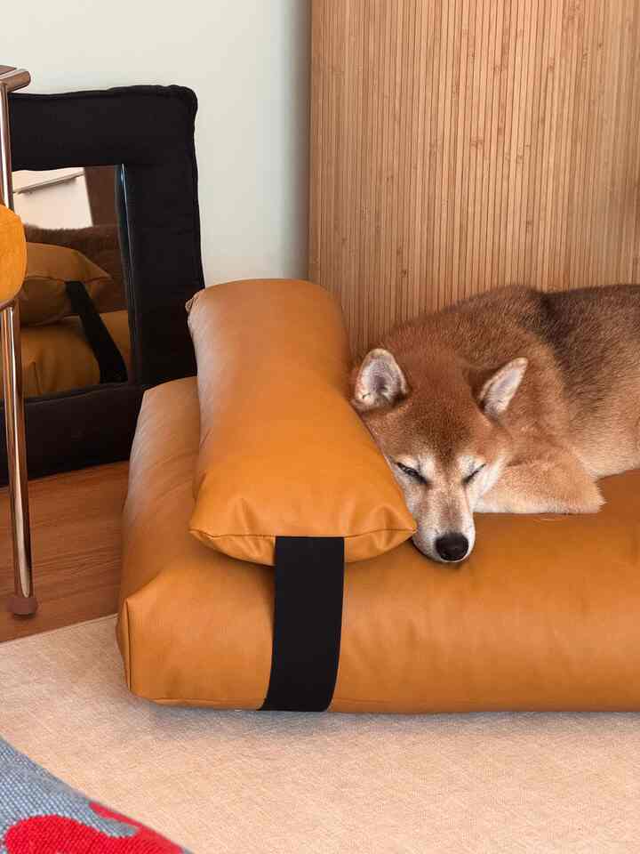 木目調の壁とオレンジのクッションの上で眠る茶色い犬がいる雰囲気のある空間