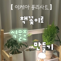 요즘 제 취미는 식물존 만들기예요🪴💚
초보 식집사라 식물 인테리어 용품이 하나도 없었는데
안 쓰고 방치해두던 이케아 플리사트 책장을 식물 선반으로 리폼해봤어요 .ᐟ 결과는 대성공🫶🏻
제가 가장 좋아하는 식물들을 한곳에 모아두니 
비어 있던 거실 한쪽 공간이 훨씬 따뜻하고 편안한 분위기로 바뀌었어요 🤍
집에 있는 가구를 새롭게 활용해서 
예쁜 식물존을 만드니 증말 뿌듯한거 이쬬...🥹
리폼 과정과 Before → After도 함께 담았으니, 
식물존 꾸미기 고민 중이시라면 저장해두고 참고해보세요 🌿✨
ෆ 제품정보 ෆ
• 책꽂이: 이케아 플리사트
• 시트지: 에코필름 에어프리 무광 시트지 뮤트핑크
#오늘의집ftc #오늘의집ftc26기 #오늘의집미션 #나다운공간 #취향의공간 #플리사트 #이케아플리사트 #이케아리폼 #책장리폼 #식물존 #식물인테리어 #홈가드닝 #초보식집사 #집꾸미기 #셀프인테리어 #우드인테리어 #화이트인테리어 #오늘의집크리에이터 #오늘의집집들이 #홈스타일링 #식물존꾸미기 #맞팔환영