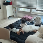 #오감리뷰 프로그램을 통해 제품을 제공 받아 직접 사용하고 스타일링한 후기 입니다 

너무 유명한 누잠 토퍼매트리스를 제공받아 사용해봤는데요
역시나 왜 유명한지 알겠더라구요.. 매트리스를 꺼내자마자 손으로 만져봤을때도 푹신감이 장난아니더라구요 
저희집 침대메트리스는 너무딱딱하여 바꿀지말지 고민하던도중 누잠토퍼를 깔아보니 진짜 잠도 잘 와서 신세계를 맛 봤습니다 ㅎ 일단 누잠 토퍼매트리스는 3중 혼합 스프링 화이버의 기술력으로 복원력은 물론 고탄성까지 훌륭해  포근함을 오래 느낄 수 있게 되어 있어요 스프링 화이버 사이사이 공기층으로 쉽게 뭉치지않아 꺼지지않구요 특히 특수 실리콘 코팅으로 되어 
오랜 사용에도 눌림이나 모양변형을 최소화하며 처음상태를 오랫동안 유지할수있게 도와준다고 합니다. 또한 알러지 ,진드기 차단인 프리원단으로 피부에예민하신분들 아이들 반려동물까지 안전한 소재이구요 
그리고 제일 좋은 점은 손님들 오셨을때 내어주기 너무 좋은 것 같아요 실제로 저희집에 친구가 와서 자야하는데 작은방에는 에어컨이 없어 거실에서자야하는데 누잠 토퍼매트리스를 깔아주었더니 너무 편하게 잤다고 해서 손님도 저도 너무 만족스러웠어요 그리고 일단 거실에 아이들낮잠잘때나
티비볼때도 쇼파보다 이 토퍼를 더 좋아했구요 ㅠㅠ 아이들이 오히려 더 찾아요 ㅋㅋ그리고 아이들키우는집엔 유해물질이 제일 중요하잖아요? 누잠 토퍼매트리스는 유해물질 알러지성 염료 불검출이라 안전하게 사용할 수 있어요 심지어
저희는 펜션갈때 침대가 너무높아 어린아이가 떨어질까 걱정되어 누잠 토퍼매트리스를 챙겨다녔는데 너무 만족중입니다 ..!!
캠핑이나 차박하시는 분들한테도 너무 추천드리고싶어요!!


#누잠 #누잠스프링토퍼매트리스 #누잠토퍼 #누잠매트리스 #누잠토퍼매트리스 #토퍼추천