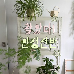 이것은 인생선반🤍
선반까지 올스틸이라 깔끔하고
예쁜 폴던스랙의 올스틸 모듈 선반𓂃𓈒𓏸
써보니 견고하고 튼튼하게 잘 만들어진
제품이라는 게 느껴져요.
이제는 식물방에 없어서는 안되는 수납템!
#콘수프기록집 #현명한소비 #식물선반 #선반
#선반인테리어 #선반장 #스틸선반 #선반추천
#선반정리 #선반스타일링 #선반정리 #플랜테리어
#식물인테리어 #화이트인테리어 