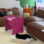 저희 집 고양이 부각이를 위해 새로 마련한 스크래쳐인데, 집사도 고양이도 200% 만족하고 있는 제품!

우선 디자인이 깔끔하고 어디에나 어우러지는 화이트 색상이라 거실 인테리어를 해치지 않고, 예쁜 인테리어 오브제처럼 공간에 자연스럽게 녹아들어 마음에 들었어요. 오목하게 들어간 라운딩 디자인과 두꺼운 테두리, 그리고 널찍한 대형 사이즈 덕분에 왕고양이 부각이가 누웠을 때 몸을 아늑하게 감싸주더라고요. 스크래쳐 용도뿐만 아니라 편안한 침대나 소파처럼 낮잠 잘 때도 자꾸만 찾아서 누워있어요!

제품의 질도 너무 좋아요 3mm 골지 간격에 두께감이 짱짱하고 탄탄해서 고양이가 아주 신나게 손톱을 긁고 뜯어도 쉽게 마모되지 않아 오랫동안 튼튼하게 사용할 수 있을 것 같아요
특히 프리미엄 골지와 막힌 구조 덕분에 스크래쳐 쓸 때마다 머리 아프던 먼지날림이 전혀 없어서 청소하기가 너무 편해요!

냥이 피부와 입에 직접 닿는 제품이라 안전성도 신경 쓰였는데, 무독성 접착제를 사용해서 안심하고 마음껏 쓰게 해줄 수 있습니다. 바닥에는 논슬립 스티커가 붙어 있어서 고양이가 격하게 스크래칭을 하거나 펄쩍 뛰어올라가도 밀림 없이 안정감 있게 딱 지지해 주네요.

디자인, 안전성, 튼튼함, 먼지 방지까지 집사와 고양이 마음을 모두 사로잡은 제품입니다. 오래 쓸 수 있는 예쁜 대형 스크래쳐 찾으시는 집사님들께 강력 추천합니다!

#오감리뷰 프로그램을 통해 제품을 제공받아 직접 사용하고 스타일링한 후기입니다.

#대형스크래쳐 #먼지날림제로 #안심사용
#인테리어 #논슬립 #냥테리어 #펫테리어
#거실인테리어 #컬러인테리어 #스크래쳐