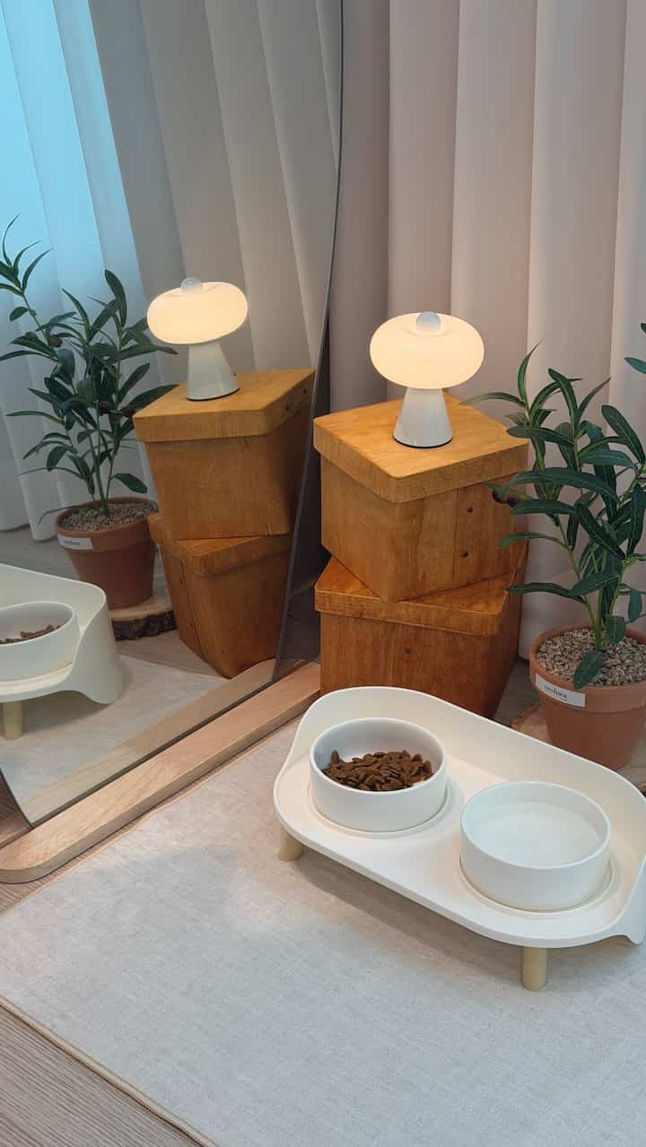 ホワイトとウッドトーンの温かみのあるダイニング空間、ペット用食器とプレースマットが整然と配置された室内インテリア