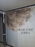 게시글 미리보기 이미지 1