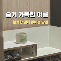 #인테리어노하우 #콘수프기록집 여름철에는 습기 때문에 집안 곳곳에서 올라오는 불쾌한 냄새가 정말 큰 고민거리잖아요.
이번에 사용해 본 라브아 대용량 퍼퓸 탈취제는 기존 제품보다 용량도 훨씬 커지고, 탈취력이랑 발향력이 더 강력해져서 정말 좋더라고요.
제품 디자인도 깔끔해서 거실 선반이나 침실 협탁 위에 올려두고 일상에서 자연스럽게 사용하는 모습만으로도 훌륭한 인테리어 효과가 나요. 
#탈취제 #탈취제추천 #고체탈취제 #고체방향제 #슈벤치 #아이슈벤치 #현관인테리어 #현관꾸미기 #현관슈벤치 #습기관리 #신발장냄새 #신발장탈취제 #망고졔욱 #맞팔 #라브아 #라브아탈취제 #이케아협탁 #원목협탁 #툭 #툭가구 #툭선반 #모빌 #스탠딩모빌 #모빌인테리어 #모빌추천 #빔프로젝터 #빔프로젝트 #가성비빔프로젝터 