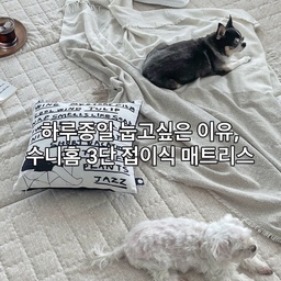 거실에서 보내는 시간이 많은 저희 집🏡
그래서 토퍼는 푹신하기만 한 제품보다 오래 누워도 몸을 잘 받쳐주는지를 가장 중요하게 보게 되더라고요
허리디스크가 있는 저희 남편은 눕자마자 너무 편하다고 하더라구요🛏️✨
너무 더우니 요즘 거실에 토퍼 깔아두고 댕댕이들과 같이 뒹굴뒹굴 시간 보내는데 아이들도 편한지 항상 올라와서 쿨쿨 잘 자더라구요😆
#콘수프필름 #오늘의우리집 #오늘의일상 #거실인테리어 #거실꾸미기 #일상기록 #일상스타그램 #여름준비템 #토퍼매트리스 #토퍼추천 #접이식매트리스 #강아지와함께사는집 #강아지와함께 
