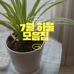 #예쁜살림템
한발늦은 7월 쇼핑하울🤍
너무 좋은 소비였어요!!
8월에는 또 어떤 쇼핑을 할가요!
(사실 이미 좀 지름ㅎㅎㅎ)
#ftc22기 #오늘의집 #쇼핑 #하울 #7월쇼핑 #화분 #이케아 #이케아쇼핑 #이케아추천템 #셰이커박스 #블랙 #귀염 #블루 #포인트 #텅장 