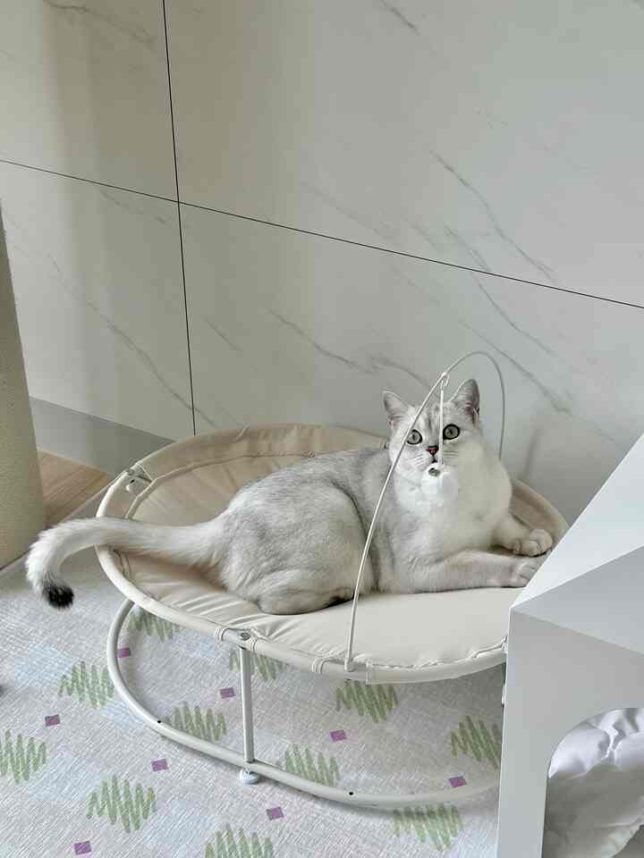 かわいい我が家の猫たち➿ʚ♥ɞ 
天気が暑すぎる、、、暑さに気をつけて幸せな8月になりましょう！ 

＃パトゥル歓迎 