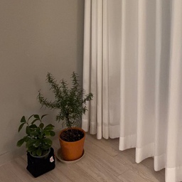 귀엽네 우리집 화분🌱
아직 식물키우는게 초보라 큰건 부담스럽고
차근차근 키워봐야지🌳
#식물 #식집사 #초보 