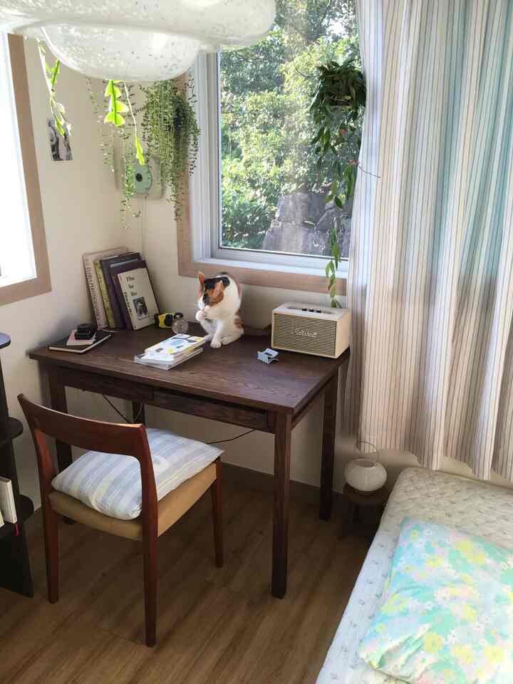  #콘수프기록 #예쁜템최고야 #원목가구 #책상꾸미기 #식물인테리어 #여름일상 #초록뷰 #창가인테리어 #작은집인테리어 ## #플랜테리어 