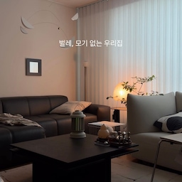 #콘수프기록집 #벌레퇴치기 #여름필수가전 
모기라면 질색을 하는 딸들을 위해 엄마가 준비한 
웰핀 버그라이트 🦗🦟
🟦파란불은 실외
🟩초록불은 실내   
🟧주황색은 무드등
이래저래 유용하게 잘 쓰고 있는 벌레퇴치기 
#여름가전 #벌레퇴치 #벌레차단 #캠핑템 #캠핑용품 #무더위꿀템 