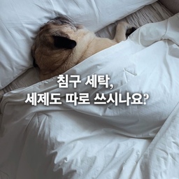 #현명한소비 1 #콘수프기록집
♥️침구 전용 세탁 세제
이불이랑 옷 같이 세탁기에 넣기도 하고
세제도 같은걸 썼었는데
침구 전용 세제가 있더라고요
고농축이라 소량으로도 깔끔하게 세탁되고
은은한 라벤더향이 나서
세탁 된 이불 덮고 자니 더 편안하게 느껴졌어요! 
각종오염, 먼지 제거도 더 잘 되는
침구 전용 세제 요걸로 앞으로 이불 관리해보려고 해요 :) 
#침구전용세제 #세탁세제 #세탁세제추천 #살림템 #살림템추천 #이불세탁 #이불관리 #세제추천 #주부템 #주부템추천 #반려견과사는집 #제품제공 
