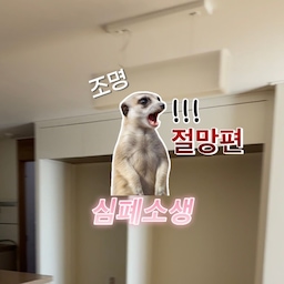 #리모델링하다생긴일 4
연재형 리모델링하다 생긴일 3개를 다 채웠지만
궁금해 해주시는 분들이 계셔서
조명편까지 올려봐요🥰
조명 인테리어 절망(2년전)의 경험으로😱
이번에 인테리어 조명에 머리를 짜보았어요˙ꈊ˙
2년전의 라떼는 
전구색3000k 주백색4000K 주광색6500K
뿐이었는데
요즘엔 전주백색 3500K가 나왔더라구요
전구색이 너무 노랗고 촌스러워(?) 보인다는 후기가 많아
주백색과 전구색 사이의 전주백색이 탄생한건지요=͟͟͞͞Ꙭ̮
저는 주광색으로 우물천장까지했던 실패경험이있어서
돈들이고 우물천장 목공해놓고 켜지도 않았었는데요ㅋ-ㅋ
어릴적 하얀 직부등 아래만 살았더라 생소한 주백색이 어두울줄 알았거든요••
이전에 인테리어 해보니 주백색도 충분히 
아늑하고 밝다는걸 알고 
주백색과 전주백색만 사용해서 인테리어 조명 진행했어요!
지금 너어무나 만족스런 부분이에요🤍
메인등이 필요한 부분은 주백으로
커튼박스 간접등이나 무드가 있어야하는 cob에는 전주백색으로
진행했어요!
그리고 불을 최대한 많~이 나눠서 켤 수 있게
스위치를 나누어주는것도 중요해요ꗯ͈̮
이렇게 
주방 전체, 조명전체, 벽지 정도의 인테리어로
지금의 저희집이 탄생했어요😍
연재형 인테리어 과정 봐주셔서 감사합니다👏🏻
#리모델링성공기 #인테리어조명 #인테리어꼼수 #리모델링후기 #리모델링오답노트 #리모델링추천 #리모델링꿀팁 #인테리어공사 #공사중 #리모델링추천 #리모델링팁 #리모델링전후 #리모델링노하우 #주백색조명 #주백색 #전주백색 #주광색 #cob #cob조명 #커튼박스 #간접조명 #커튼박스간접조명 