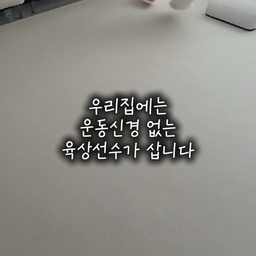 #콘수프기록집 #예쁜템최고야 #예쁜템 #거실러그 #러그 
#미끄럼방지러그 #강아지러그 #펫러그 #릴리브 #거실인테리어 #거실꾸미기 #러그추천 
우리집에 찰떡인 러그를 새로 들였어요
분위기도 예쁜데 미끄러짐이 없으니까 
러그 위에서 내려올 생각이 없는 우리 강아지들☺️🤍

