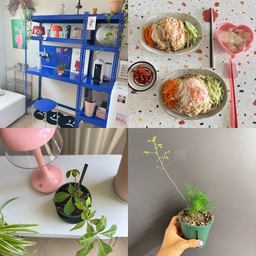 #여름네컷 #챌린지 #콘수프기록집 
우리집 여름 네컷!!!
1.알파룸 공간에 폴던스랙 블루블루가 들어오면서
여름컬러가 되어버렸지요!!!!!
2.여름하면 국수....간장국수를 얼마나해먹었던지.....ㅋㅋ
3.여름에 식물을 사면 안되는거였는데...사고싶어서 샀거든요....
고려담쟁이....처음에 왔을땐 정말 비실비실 말도 못해서
저걸 버려야하나 어쩌나했는데....
이렇게 잘 커주고 있어서 얼마나 기특한지....
4.아스파라거스 미리오클라두스도 이번 여름에 샀는데..
갑자기 저렇게 새순이 얼마나 뿅나와서 실시간으로 크는중이구요....ㅋㅋㅋ
이렇게 저희집 여름네컷은 추리고 추려서....
식물이 두컷이나되구요...ㅋㅋㅋㅋ
딱 좋아용...^^