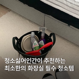 #FTC27기 다들 화장실 청소 좋아하시나요? 저는 화장실 청소를 최대한 흐린 눈 하면서 미루다가 하는 편인데요..😅
좋은 청소템들을 만나니까 화장실 청소가 재밌기 시작했어요 ✶ 
매일 매일 하니까 화장실 들어갈 때마다 기분도 쾌적하고 몰아서 하지 않으니까 덜 힘들더라구요
화장실 청소 아이템들이 거창하진 않아요 간단하게 끝내는 편입니다😏 그치만 이 최소한의 아이템들로 쾌적하게 유지할 수 있어서 이 세가지는 꼭 추천 드릴게요 ♡ 
✦ 프로쉬 변기세정제
화장실 청소를 시작하기 전 가장 먼저 하는 일은 변기에 변기 세정제를 뿌리는 일이예요 
찌든 때나 물 때를 미리 불려 두고 마지막에 솔로 문질러주면 금방 제거가 되거든요
친환경 세정제라서 부담없이 사용할 수 있고 향이 다양해서 취향에 맞게 고를 수 있어요🧼
✦ 프로쉬 욕실세정제
그리고 나서 화장실 바닥이나 수전 오염이 있는 곳곳에 욕실 세정제를 뿌려 줘요 구연산을 함유한 타입이라서 물때 청소용으로 쓰기 좋더라구요 물때가 끼는 곳에 뿌리고 솔로 살살 문질러 주기만 하면 바로 제거가 되니까 자주 손이 가요 
라벤더 향이라 냄새가 덜 부담스럽고 청소를 끝내고 나면 은은한 향기가 남아 기분까지 좋아져요🫧
✦ 바이칸 테이블솔
여러 가지 솔을 사용해 봤지만 바이칸이 왜 유명 한지 알겠더라구요! 솔이 탄탄하고 뻣뻣해서 욕실바닥이나 타일처럼 힘을 줘서 문질러야 하는 곳도 시원시원하게 청소가 가능해요
뻣뻣 한 만큼 몇 번 쓰고 버리는 솔들과 달리 오래 오래 사용하고 있어요 고리가 있어서 화장실에 걸어두기도 편해요🧽
✦ 코멧 미니 스퀴지
화장실 청소에 가장 중요한 건 마지막 건조!
열심히 청소 했는데 물때가 금방 끼면 너무 힘들잖아요🥲 저는 스퀴즈를 이용해서 물기를 제거 할 수 있는 곳을 다 닦아 주고 있어요 
저는 쿠팡에서 코멧 미니 핸드 스퀴즈를 사용하고 있어요 사이즈가 작아서 세면대 수전 거울 등 큰 스퀴즈를 사용하기 애매한 공간에 사용하기 딱 좋아요 
#화장실청소 #화장실청소용품 #청소템 #화장실청소템 #프로쉬 #프로쉬욕실세정제 #프로쉬변기세정제 #바이칸 #바이칸청소솔 #스퀴지 #미니스퀴지 