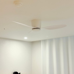 #인테리어노하우 #콘수프기록집 
신혼집에 실링팬을 설치한 이유
거실을 꾸미면서 고민하다가 설치한 실링팬.
처음에는 인테리어 효과를 생각해서 골랐는데, 사용해보니 생각보다 실용적이라 만족도가 높은 아이템이에요. 🤍
실링팬은 공기를 순환시켜줘서
여름에는 에어컨과 함께 사용하기 좋고,
선풍기를 따로 꺼내놓지 않아도 돼서 거실이 한결 깔끔해요.
저희 집은 실링팬을 고를 때
✔️ 거실 크기에 맞는 팬 크기
✔️ 천장 높이와 설치 가능 여부
✔️ 집의 전체적인 분위기와 어울리는 디자인
✔️ 소음과 풍량
이 네 가지를 가장 중요하게 봤어요.
특히 설치 전에는 천장 구조와 보강 여부를 꼭 확인하는 것을 추천해요!
보기에도 예쁘고 생활도 편해지는 아이템이라
신혼집에 실링팬 설치를 고민하고 있다면 추천하고 싶어요. 🌿
#오늘의집 #오늘의집노하우 #오늘의집온라인집들이 #신혼집인테리어 #신혼집꾸미기 #33평아파트 #아파트인테리어 #거실인테리어 #거실꾸미기 #실링팬 #실링팬인테리어 #실링팬추천 #아파트실링팬 #신혼부부 #신혼부부일상 #홈인테리어 #집꾸미기 #인테리어노하우 #우리집인테리어 