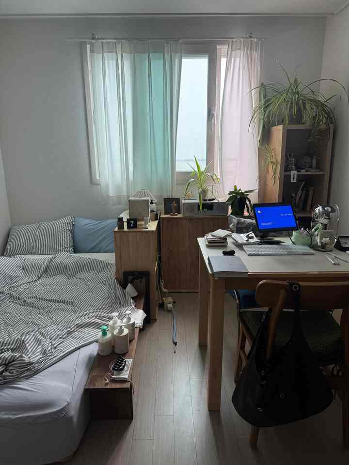 ナチュラルな色調のコンパクトなワンルーム寝室、机や本棚、観葉植物が配置されたシンプルで温かみのあるインテリア