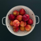 

새콤달콤 자두🍒
이케아 과일바구니에 담으면 뭐든 예뻐 보이는 효과가 있다 



#예쁜템최고야 
#콘수프기록집 
#이케아바구니
#이케아철제바구니 
#이케아과일바구니
#소창추천
#여름디저트 