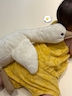 게시글 미리보기 이미지 3