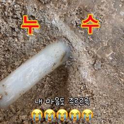 리모델링하다 생긴 일 ①
마루 철거하고 나서 
깔끔하게 뺄건 빼고나니 착착착! 
공사가 순탄하게 진행될 것만 같았는데...
리모델링을 시작하고 마루를 철거한 뒤 목공 작업까지 진행하고, 드디어 욕실 공사에 중 
리모델링하면서 제일 만나고 싶지 않았던 단어가 바로 ‘누수’인데요. 🥲
다행히 욕실 공사 사장님께서 바로 발견해주셨고,
큰 누수로 번지기 전에 원인을 확인하고 필요한 조치를 할 수 있었어요.
철거하고 목공까지 진행된 상태라
조금만 늦게 발견했으면 정말 골치 아팠을 것 같은데…
욕실 공사 들어가는 시점에 딱 발견돼서
다행히 큰 피해 없이 정리하고 공사도 무사히 마무리할 수 있었답니다.
그래서 리모델링은 정말
**“계획대로만 흘러가지 않는 것까지가 리모델링”**인 것 같아요. 😅
리모델링하다 생긴 일, 다음 편에 계속… 🏠
#리모델링하다생긴일
#반셀프인테리어 #구축아파트리모델링 #구축아파트 #셀프인테리어 #화이트인테리어 #아이들과사는집 #집꾸미기 #홈스타일링 #오늘의집 #인테리어기록 #바닥누수 #바닥철거 #마루시공 #릴스 #FTC25기
