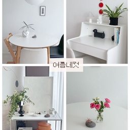#여름네컷 #콘수프기록집 
여름은 뭐니뭐니해도 초록 싱그러운 식물이 생각나는데요! 
앨범 털어털어 초록이들 사진 모아봤어요 
저희집 구석구석에서 초록을 담당하고있는아이들 
눈이닿는곳마다 힐링되는기분이에요 :)
#식집사 #초보식집사 #식물인테리어 #식물일기 #식물데코 #초보식물집사 #공기정화식물 #여름인테리어 #거실인테리어 #거실꾸미기 #거실테이블 #플랜테리어 #플랜테리어화분 