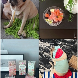 #여름네컷
✔️랄르신의 비키니 👙 하와이안 스타일
✔️과일 화채 (종종 배달 시켜 먹어요 ㅎㅎ)
✔️이네스따떼 콤부차 얼음 넣고 시원하게🩵
✔️랄르신의 수박 비키니 🍉
여름이었다 (그냥 써보고 싶었음 ㅋㅋ)
#여름감성 #여름메뉴 #여름메뉴추천 #콤부차 #콤부차추천 #반려견 #댕댕이 #귀여운게최고야 #반랴견과사는집 #반려견용품 #귀여운아이템 