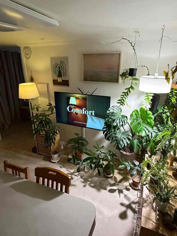 #家電フレックス

テレビとテレビ番組のフレックス🤍

新婚家電を準備するとき、テレビは音楽を入れるために
ぜひ買おう 
インケルテレビを購入して
テレビ台を高価な友達として購入しました。

✔️インケルテレビ＆ビルティーニテレビ街台の組み合わせ

本当に頑丈でシンプルで豪華です。
今でも満足できる家電フレックスです！
。
。
。

＃植物＃植民地時代＃フランテリア＃植物インテリア＃植物を育てる＃花瓶＃竹香港ヤシ＃シェフレラ＃ラタン引き出し＃ラタン収納場＃テレビスタンド 