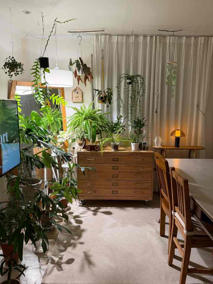 #リビングスタイル

原木支流箱と植物が一緒になるリビングルーム🌿

✔️バンド原木支流箱を植物棚として使用する
✔️緑の植物は、日差しの最も良い場所に配置する
✔️日焼けがよくない場所は、植物などをムードなどのように配置する

植民地時代の居間は日当たりの良いです。
植物がよく眠ると人もよく生きることができる
安らかな空間です。

人も気持ちいいところは植物も元気に暮らすのにいいところです。
植物のインテリアをするときは、日差しが少なくて悩みなら
植物などに綺麗な灯りをかぶせてください。

ムードなど兼植物などを使って 
空間の雰囲気も生かしてくれますね✨
。
。
。

＃植物＃植民地時代＃フランテリア＃植物インテリア＃支店ボックス＃ホームインテリア＃バンド＃木の引き出し＃ウッドインテリア＃セラミックテーブル＃ポセリンセラミックダイニングテーブル＃植物など＃ 