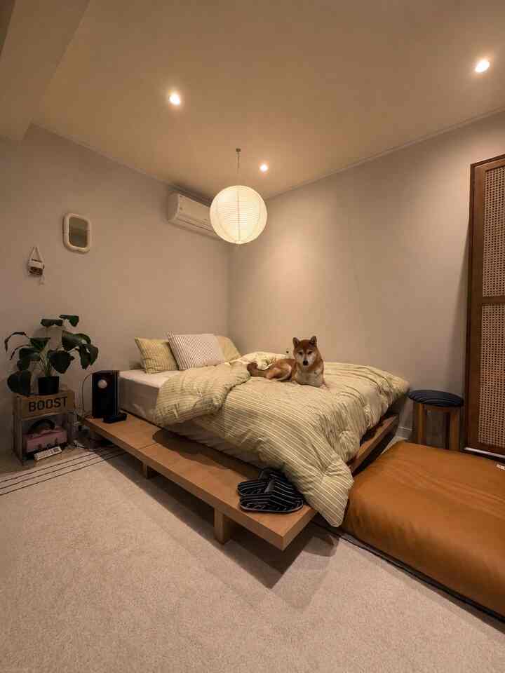 前回のポスティングでハチ屋の寝室ルックをちょっと紹介しましたが！ 🛏️🤎 実はこのベッドフレームは私が最初に家具の定石を訪ねてナプダDMを送った製品です。 😂

私は最近寝室を飾りながら欲しかったのです。
ピンターレストで見たナチュラルウッドベッドフレームでした。

だから本当の今日の家/クパン/ネイバーまで全部遅れました。
お気に入りのデザインはほとんど30万ウォン台から始めたり、
私が必要な1800Kサイズがない場合が多いんですよ。 🥲

それからこれを発見！もともと製品のクオリティ+価格に気になる社長であることを知っていて、私がまずDMに連絡しました。そして…ありがとうございました。 🤎

自分で使ってみると思った寝室のムードがぴったり出てきて
今は社長と工具まで話されました。  #우드침대 #침실꾸미기 #가구의정석
