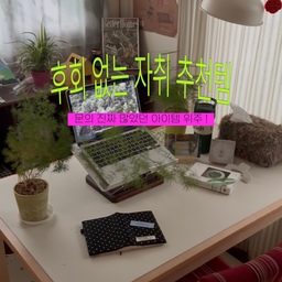 후회 없는 자취 추천템 𖠿⋆ ˚︎︎︎
인스타와 오집 계정을 운영하며 문의가 정말 많았던 
+ 반응이 좋았던 아이템만 모아모아 왔어요...ᐟ
따라 사도 후회 없으실 것 •• 🤍
❶ 원목 테이블 + 테이블 매트
테이블 1150 사이즈 + 테이블 매트는 110*70으로 주문! 
❷ 전신거울 화장대
❸ 암막 우드 블라인드
오동나무 04 컬러 / 1+1 제품으로 사면 더 저렴해요
❹ 저상형 침대 프레임
SS(슈퍼싱글) + 높이 8.5cm + 우드 내추럴
❺ 미니 건조기
#콘수프기록 #맞팔 #자취 #자취방 #자취꿀템 #자취방인테리어 #자취방꾸미기 #자취생 #자취인테리어 #자취필수템 #구축인테리어 #구축빌라 #투룸 #투룸인테리어 #투룸꾸미기 #투룸침실 #투룸빌라 #투룸자취방 #맞팔환영 #8평 #8평인테리어 #콘수프기록집 #예쁜템최고야 