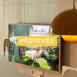 📺(먼지 구덩이) 10년 된 벽걸이 TV, 
뒷면 먼지 청소했어요.
혼수 벽걸이 TV를 
액자처럼 리폼한지 5년.
슬슬 TV 없는 거실이 되고 싶은데
미디어 좋아하는 가족이라 어렵네요.
오늘은 흐린눈 하던 벽걸이 TV 뒷면
먼지 청소법 소개해 볼게요.
📍벽걸이 TV 먼지 청소
1. 10년 넘은 55인치 TV
6년 전 이사하며 셀프 거치하고
5년 전 액자 프레임으로 셀프 리폼.
2. 준비물
알코올, 낡은 옷, 낡은 칫솔.
3. 일괄 소등
청소 전 전력 차단.
4. 보양 작업
바닥에 낡은 옷 깔아 먼지와 흠집 방지.
5. 공간 확보
벽걸이 TV 당겨 거치대 열기.
6. 먼지 제거
낡은 칫솔로 위에서 아래로 먼지 털기.
7. 콘센트
멀티탭 콘센트에 먼지 타지 않게 
뒤집어서 거치.
8. 바닥 청소
바닥에 쌓인 먼지 치우고 알코올로 닦기.
9. 원상 복구
TV 밀어 원위치 하고 일괄소등 해제.
10. 연결 확인
TV 켜서 연결 상태 점검.
⭐️ 먼지 날리지 않게 실링팬, 선풍기 끄기!
액자 리폼한 TV라 일찍 고장 날 줄 
알았는데 5년 넘게 끄떡 없네요.
TV 보면서 여기 청소는 잊었죠?
쌓이고 뭉친 먼지는 전기 합선으로
발화의 원인이 될 수 있어요!
먼지 폴폴 날려서 
아트월과 바닥까지 청소했답니다.
지금 당장 확인해 보세요!!
오늘도 단정한 집을 가꿔요. 🏡
(자세한건 블로그를 참고하세요)
#서나의살림레시피 #미니멀살림러 
#미니멀라이프 #미니멀살림 #감성살림
#미니멀 #미니멀인테리어 #벽걸이tv
#벽걸이티비 #티비프레임 #tv프레임
#벽걸이거치대 #액자티비 #액자tv
 #프레임티비 #프레임tv #tv액자
#틈새청소 #먼지청소 #티비청소
#리모델링하다생긴일 #청소노하우
#콘수프기록집 #예쁜템최고야 