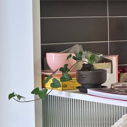 "작은 식물들과 함께하는 우리 집 일상"
집에 작은 식물 두 개를 키우고 있는데, 성격이 아주 달라서 재밌어요. 
하나는 하트 모양 잎이 매력적인 아이비🌿
많이 신경 안 써줘도 알아서 잘 자라주는 착한 친구입니다. 
어디든 슬쩍 뻗어나가면서 존재감 뿜뿜, 손이 많이 안 가서 더 애정이 가요 ㅎㅎ
두번째는 예뻐서 데려온 올리브나무.
물도 챙겨서 주고 바람도 쐬어주고 나름 정성껏 케어하는데 자꾸 이파리가 하나둘 시들어서 속상해요ㅠㅠ
분명 좋은 환경 만들어주고 있는 것 같은데 왜 자꾸 이러는 건지, 올리브나무 키워보신 분들 팁 있으면 알려주세요!
손 안 가도 알아서 잘 크는 아이비랑, 
신경 써줘도 삐지는 올리브나무.
식물마다 성격이 다 다른 게 새삼 느껴지는 요즘입니다🌱
#FTC26기 #FTC #오늘의집크리에이터 #오늘의집 #일상로그 #반려식물 #홈가드닝 #아이비 #올리브나무 #식물스타그램 #플랜테리어 #홈카페 #소소한일상 #플랜트인테리어 #집스타그램 #일상로그 #일상 