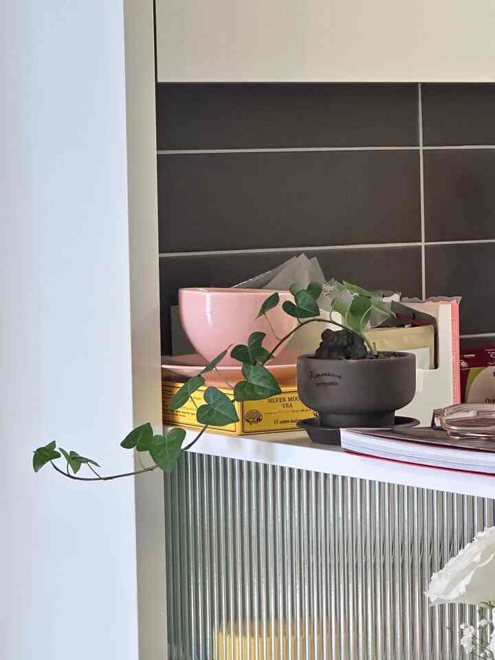 「小さな植物と一緒に私たちの家の日常」

家に小さな植物2つを育てていますが、性格がとても違って面白いです。 

一つはハート型の葉が魅力的なアイビー🌿
あまり気にしなくても、よく成長してくれる優しい友達です。 
どこでもスッキリ伸びていながら存在感ブムムム、手がたくさん行かず、もっと愛情がありますㅎㅎ

二つ目は綺麗に連れてきたオリーブの木。
水も手に入れてくれて、風も溜めてくれ、それなりに丁寧にケアするのに、しばしばイパリがひとつひとつ枯れて騙されます。
きっと良い環境作ってくれているようですが、なぜ何度もこういうのか、オリーブの木を育ててみた方々のヒントがあれば教えてください！

手を持っていなくてもよく大きめのアイビーと、 
気にしてもピジはオリーブの木。
植物ごとに性格が違うのが改めて感じられる最近です🌱

#FTC26期 #FTC #今日の家クリエイター #今日の家 #日常ログ #ペット植物 #ホームガードニング #アイビー #オリーブの木 #植物スターグラム #プランテリア 