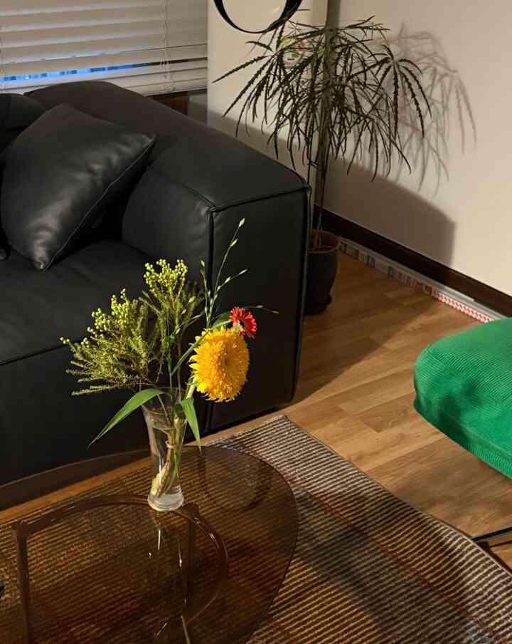 新婚の家を一つ二つ満たしていた時期🌻

＃リビングルームインテリア 