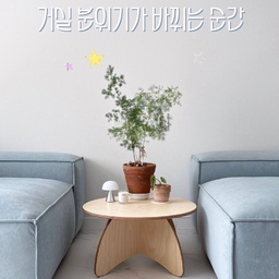 20평대 거실, 테이블 하나로 분위기 바꿨어요 🤎
늘 붙여두었던 소파 사이에
원목 테이블 하나를 들여봤어요.
화이트톤으로만 꾸몄을 때보다
따뜻한 원목이 하나 더해지니
공간도 훨씬 포근하고 편안해진 느낌☺️
읽던 책이나 마시던 커피, ☕
좋아하는 소품들을 가까이 둘 수 있어
소파에서 보내는 시간도 한층 편해졌어요.
특히 20평대 거실이라 큰 테이블은 부담스러웠는데,
공간은 답답해 보이지 않으면서
필요한 건 충분히 올려둘 수 있어 마음에 쏙🤎
거실이 조금 심심하게 느껴진다면
분위기를 바꿔줄 가구 하나 들여보세요. 🫶🏻
#FTC27 #소파테이블 #원목테이블 #거실스타일링 #집꾸미기 
