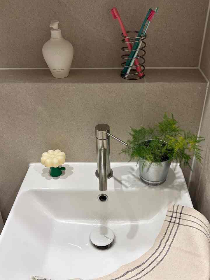 植物を楽しむのが楽しいです。
これがまさに植執事の道…？笑

IKEAに人工植物だけを売ると思いました。
本物の植物もありました。

種類も多く、価格も合理的です。
みんな一度見てみることをお勧めします！  #식집사일기 #나비란 