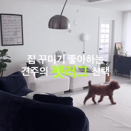 집 꾸미기 좋아하는 견주의 펫러그 선택 .ᐟ 특히 저처럼 노견과 함께 하는 집이라면 더더욱 필수라는 생각이 들어요 •••🐻🤎
하루에 몇번씩 있는 우다다다 타임과 펫스텝을 곳곳에 배치해도 신나면 그냥 점프해버리는 우리 뭉치씨... .ᐟ🌀 미끄러지고 넘어지고 절뚝거리고 ••
릴리브 펫러그는 러그 바닥면에 촘촘한 도트 코팅 때문에 러그가 밀리지 않고 최적의 두께와 쿠셔닝으로 강아지가 안정감있게 생활 할 수 있어요. 또한 생활 방수로 바로 닦아주면 되서 부담 없이 사용 할 수 있다는점 .ᐟ 
미끄럼방지+충격흡수+생활방수 한번에 해결하는 구조라 쓰면 쓸수록 너무 만족스러워요.🤍
사이즈도 다양해 거실, 복도, 침실 등 반려견 동선에 맞게 깔아 둘 수 있고 반려동물품질 안전인증 완료된 제품이라 강아지는 편하고 견주는 만족스러운 릴리브 .ᐟ 인테리어를 해치지 않는 깔끔하고 예쁜 펫러그 찾으신다면 더욱 만족하실거에요. 🐻🤍
#콘수프기록집 #현명한소비 #펫테리어 #펫러그 #강아지러그 #강아지매트 #반려견 #러그추천 #거실인테리어 #거실꾸미기 #화이트인테리어 #블랙앤화이트인테리어 #모노톤거실 #모노톤인테리어 #무채색인테리어 #식물인테리어 #식집사 #초보식집사 #조명추천 #활장스탠드 #미드센츄리모던 #미드센추리인테리어 #모던인테리어 #맞팔
